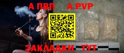 шишки Гай