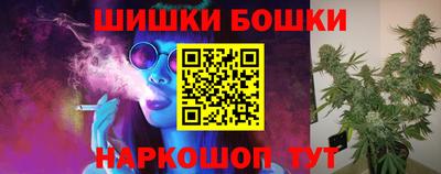 шишки Гай