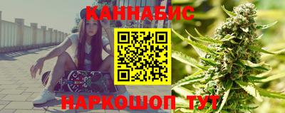 шишки Гай