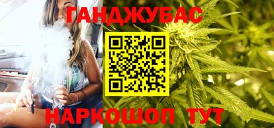 шишки Гай