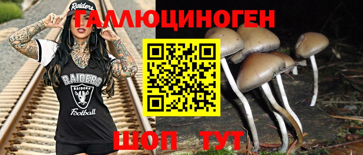 Псилоцибиновые грибы GOLDEN TEACHER Самара
