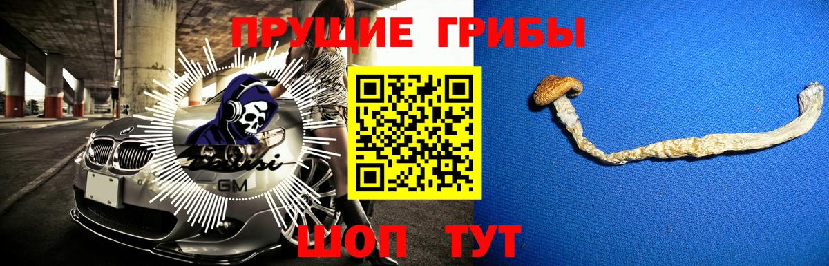 Псилоцибиновые грибы MAGIC MUSHROOMS  Вход с VPN  наркошоп  Самара 
