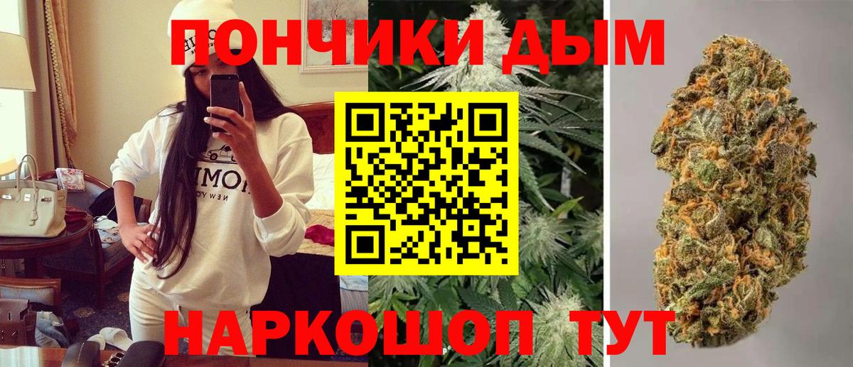 Бошки Шишки семена Самара